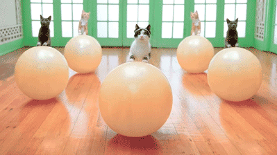 Живые фотографии – Живые картинки – Сообщество – Google+