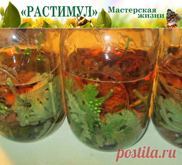 Чудо рецепт от сильного кашля, который работает мгновенно! - Мастерская жизни "Растимул"