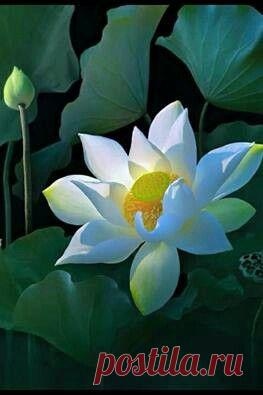 Пин на доске Fотография