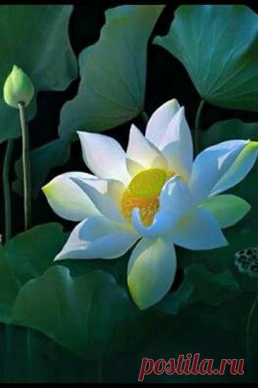 Пин на доске Fотография