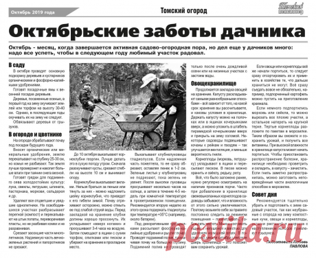 Октябрьские заботы дачника