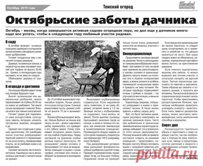 Октябрьские заботы дачника