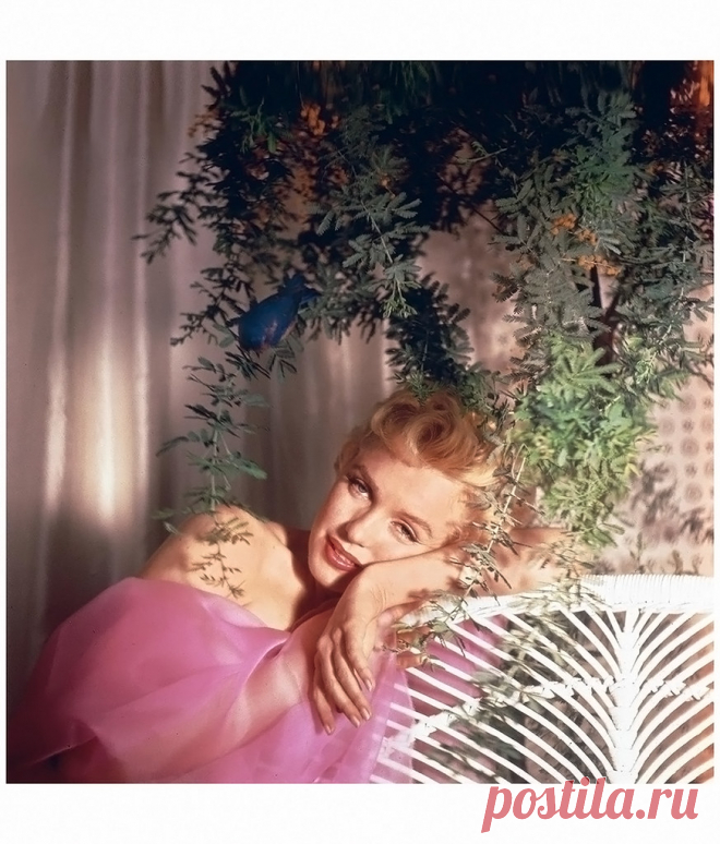 Marilyn Monroe, 1956 Photo Cecil Beaton