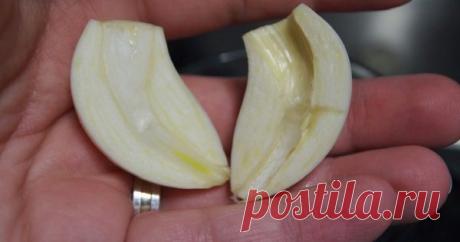 Разрезала чеснок и вынула сердцевинку… Когда ты поймешь почему, непременно сделаешь то же самое! — Копилочка полезных советов