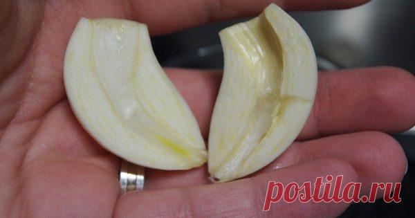 Разрезала чеснок и вынула сердцевинку… Когда ты поймешь почему, непременно сделаешь то же самое! — Копилочка полезных советов