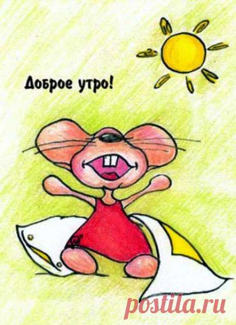 доброе утро картинки: 40 тыс изображений найдено в Яндекс.Картинках