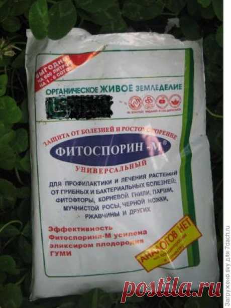 Как применять Фитоспорин-М ? - ответы экспертов 7dach.ru