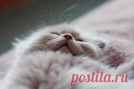 Мой Мир@Mail.Ru