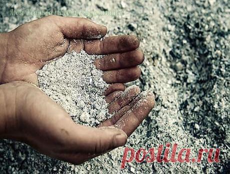 ЗОЛА - ЧУДО ПОМОЩНИЦА В ОГОРОДЕ!