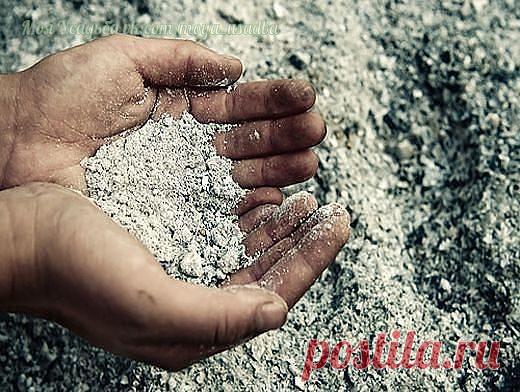 ЗОЛА - ЧУДО ПОМОЩНИЦА В ОГОРОДЕ!