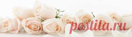 Фартук кухни белые розы, скинали на сайте www.skinali-plus.com