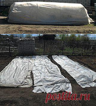 Пленка, укрывной материал

В настоящее время различных укрывных материалов для растений производится очень много. Их применение позволяет садоводам-огородникам обеспечить защиту огородных и садовых культур от заморозков, от сильного ветра и града, от палящего солнца и даже от вредителей и болезней.