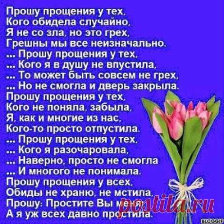 (5) Одноклассники