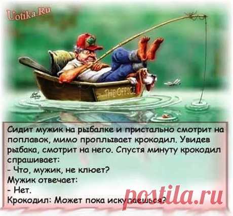 А чё не смеёмся?
Тебе больше блондинки нравятся или брюнетки?- Мне сиськи нравятся.- Ну, а цвет волос?- Я не люблю, когда на сиськах волосы. Утро. Теща выходит из своей комнаты и жалуется:"Всю ночь комары кусали - ут…