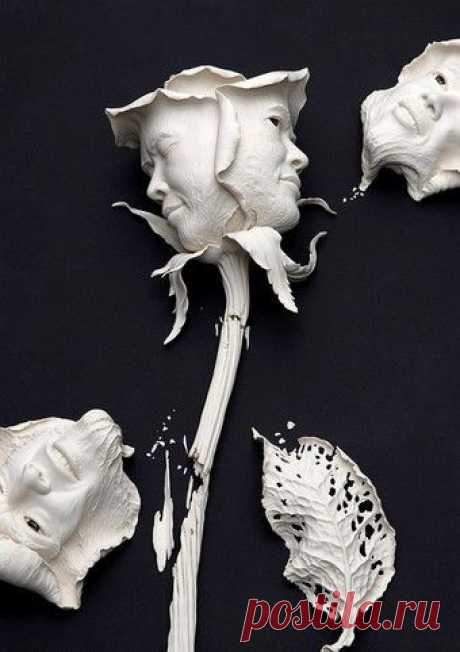 Автор Johnson Tsang