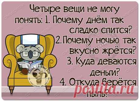 Слова со смыслом|Женский Юмор, Статусы, GIF