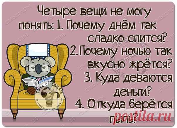 Слова со смыслом|Женский Юмор, Статусы, GIF