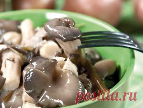 Маринованные вешенки (очень быстро)