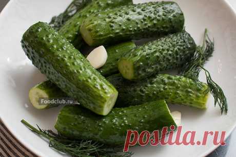 Малосольные огурцы — рецепт с пошаговыми фотографиями на Foodclub.ru