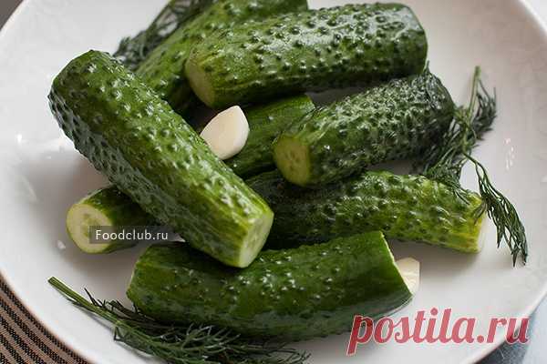 Малосольные огурцы — рецепт с пошаговыми фотографиями на Foodclub.ru