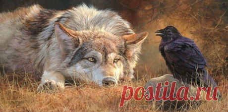 Упавшего из гнезда вороненка схватили чьи-то зубы и унесли в нору. Однако хищники решили не есть пернатого гостя | Тайган | Дзен