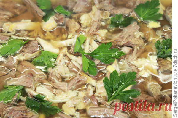 Домашний Холодец из говядины и курицы