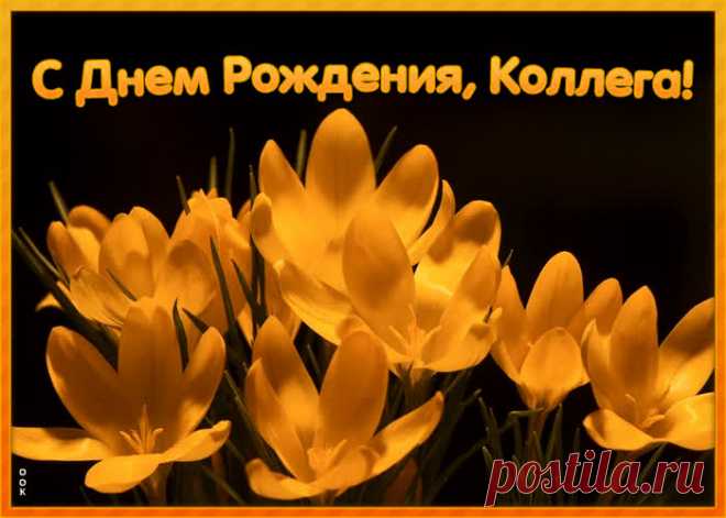 Виртуальная открытка с днем рождения коллеге женщине - отправить бесплатно по электронной почте и в соц. сетях. Каталог прикольных открыток с днем рожедния для коллег.