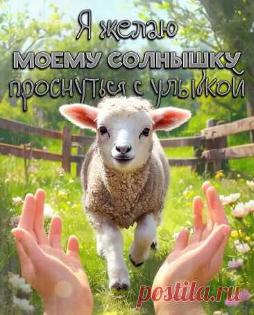 Открытка доброе утро солнышко