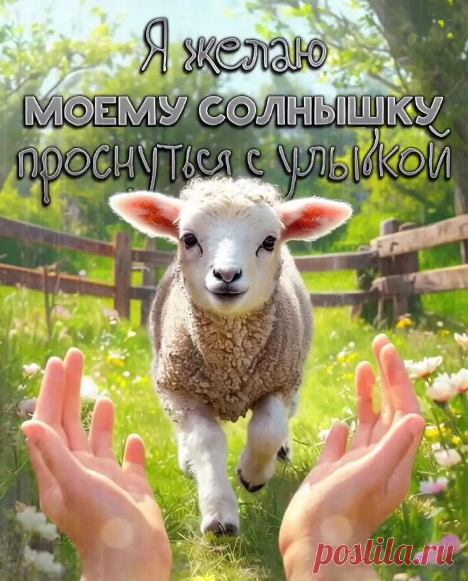 Открытка доброе утро солнышко