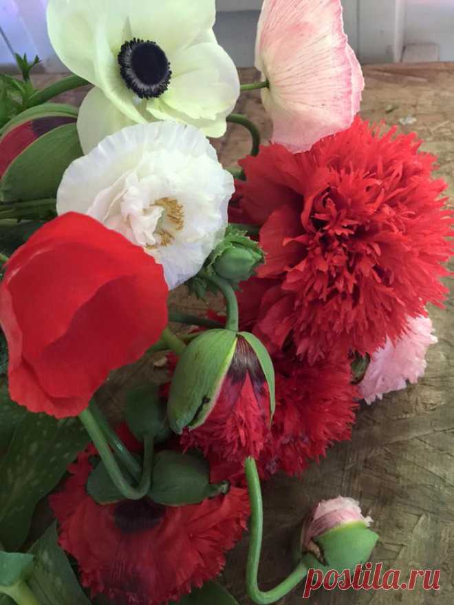 (33) Юкико Miyai