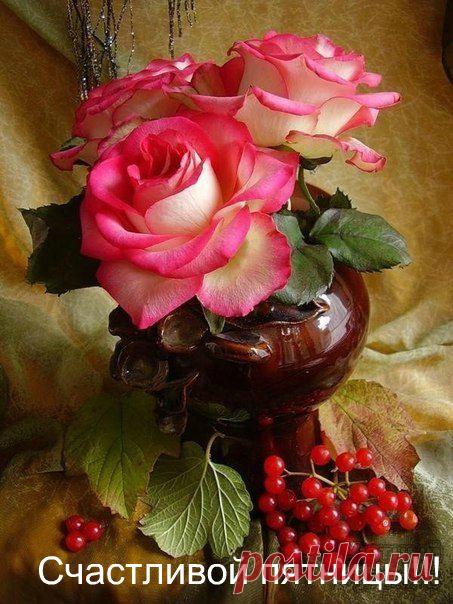 Сохранённые фотографии Ани | 5 564 фотографии