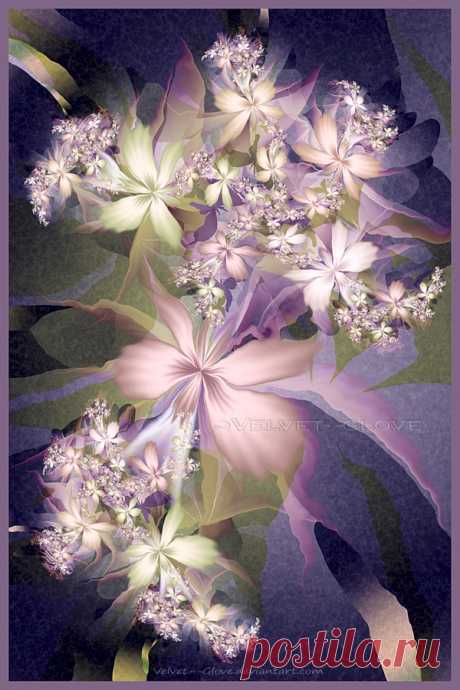 Violetta by Velvet--Glove on DeviantArt