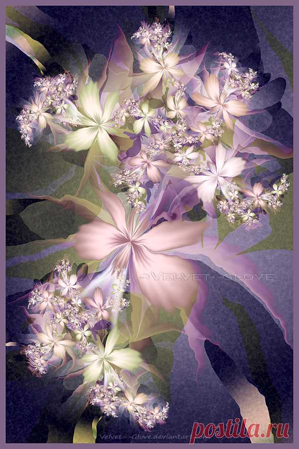 Violetta by Velvet--Glove on DeviantArt