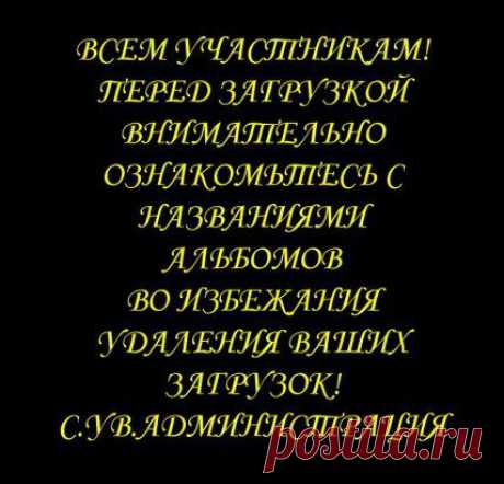 ДИЗАЙНЕР &quot;САМОДЕЛКИН&quot;  Группа  в  Одноклассниках