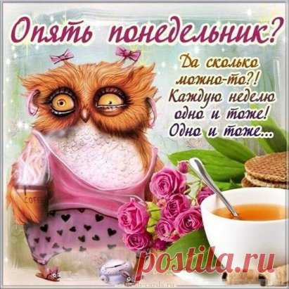 Доброго утра, друзья ! Лёгкого понедельника !