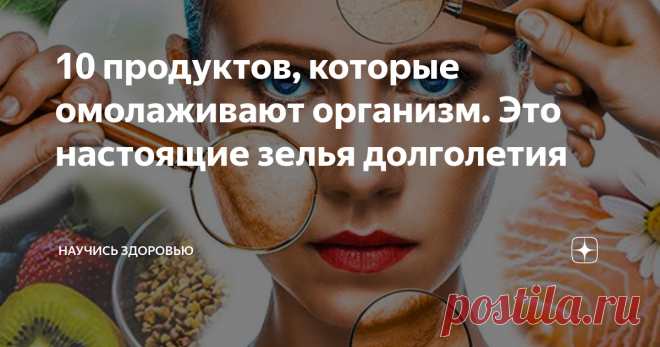 10 продуктов, которые омолаживают организм. Это настоящие зелья долголетия Стоит включить их в свой ежедневный рацион, чтобы замедлить процесс старения.
Каждый из нас хотел бы быть в состоянии остановить время, и иметь свежий цвет лица и вечно молодой облик. Поскольку все начинается внутри нас, мы можем думать о нашей диете как о волшебном источнике омоложения. Потому что это действительно работает и даже научно доказано.
Существуют специальные продукты, которые, помимо
