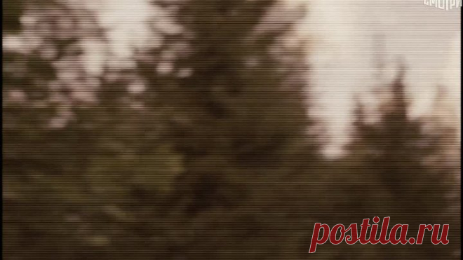 +Вне Логики