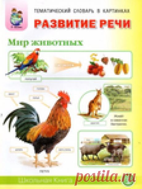 Мир животных.