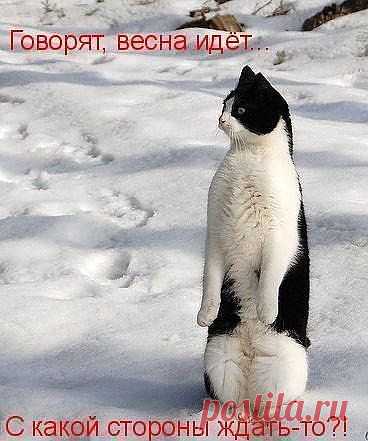 Красавец!