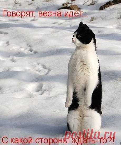 Красавец!