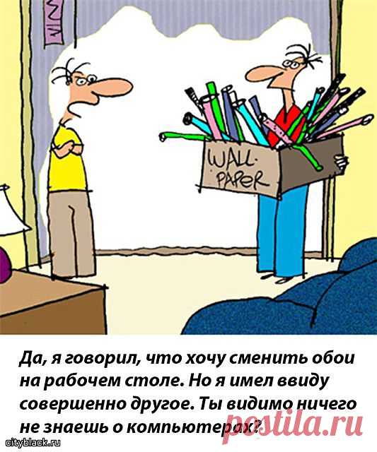 Компьютерная безграмотность. Как реагировать.