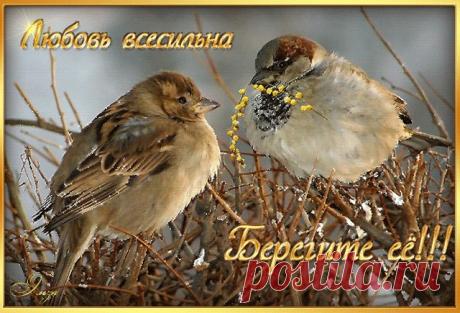 Один мужчина вдруг сказал:  Один мужчина вдруг сказал: 
«Я не люблю жену, 
Всё, отношениям финал! 
Жизнь заново начну!» 

Услышал то один мудрец 
И тут же возразил: 
«Так рассуждает лишь глупец, 
Жена – твой верный тыл» 

«А что же делать мне тогда?» – 
Спросил мужчина тот. 
«Люби сильнее, чем всегда, 
А не наоборот!» 

«О, милый добрый человек, 
Ведь я же всё сказал! 
Любви к жене в помине нет, 
Что каждый день скандал».

«Мой милый друг, пойми, любовь – 
Не тяжесть на го...