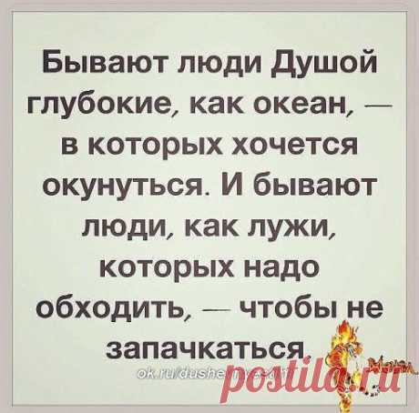МУДРОСТЬ ЖИЗНИ.