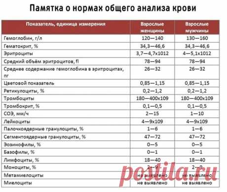 Вот как расшифровать анализ крови самостоятельно, без врача Супер! Теперь и без доктора все понятно!