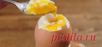 Что будет, если каждый день съедать по два яйца — Intex-press. Последние новости города Барановичи, Беларуси и Мира