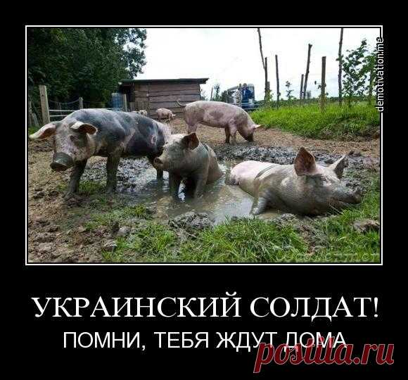 Украинский замминистра назвал россиян варварами, лузерами и рабами