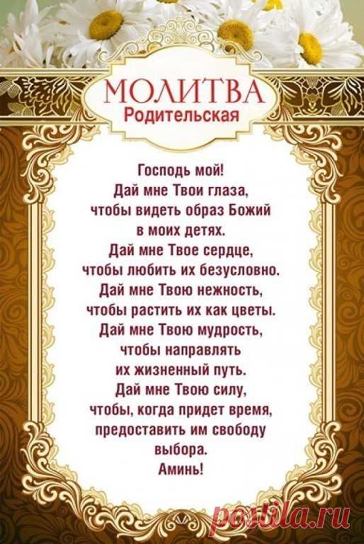 (2) Одноклассники