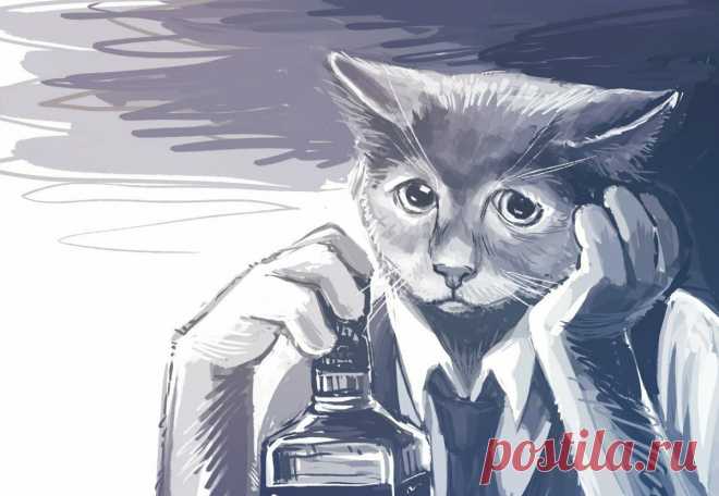 Пьющий кот - горе в семье