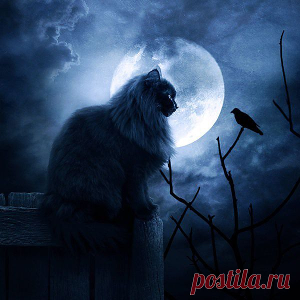 Мой Мир@Mail.Ru