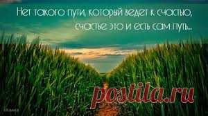 Cмешно и грустно !
